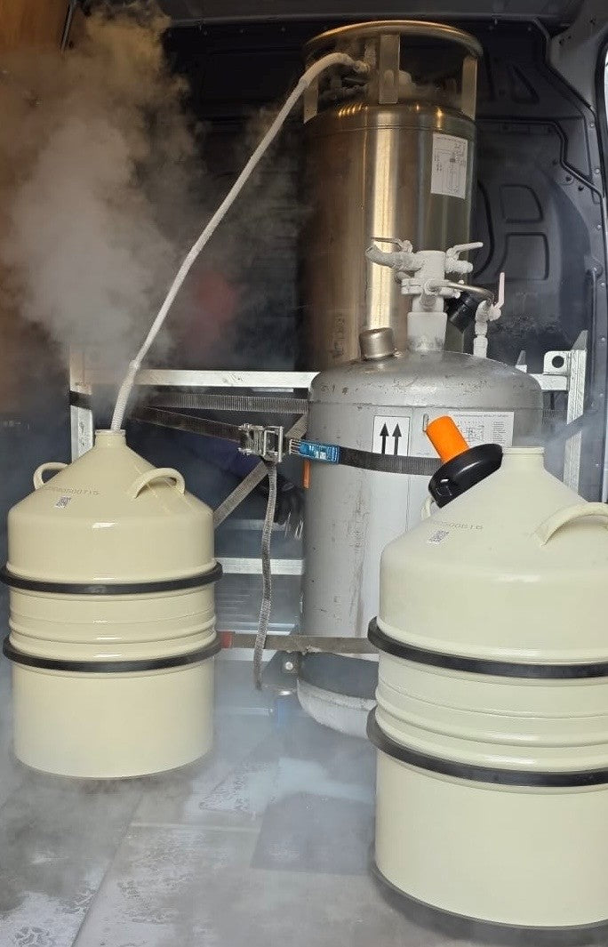 <em>Flüssigstickstoff im Dewar</em>